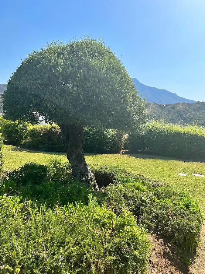 Altos De La Quinta II Apartment Marbella